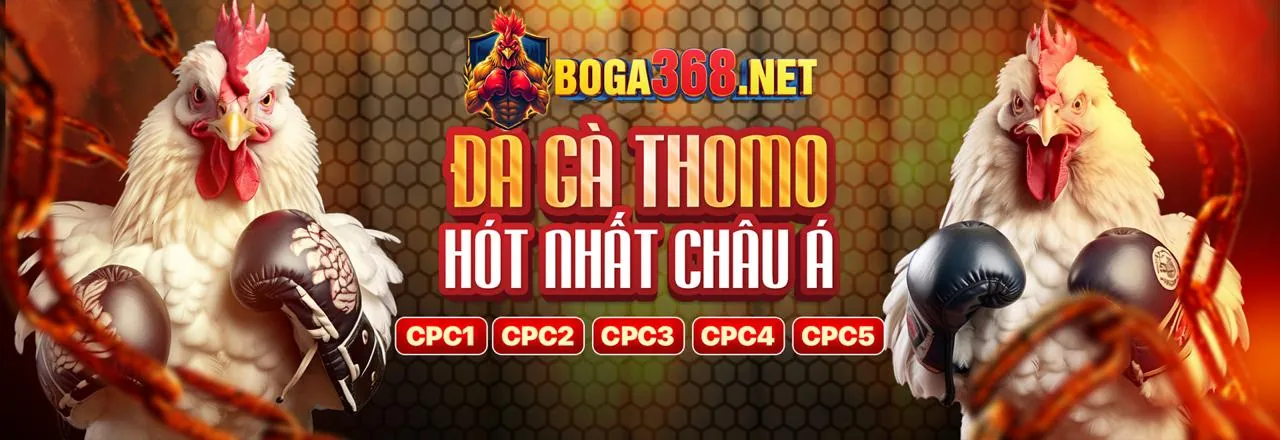 Hình ảnh chủ đạo về Tuân thủ GDPR của go9